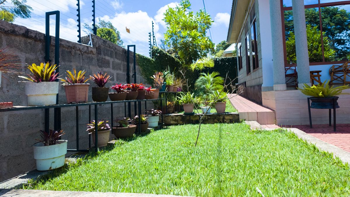 Lawn, flower pots and paved path along the apartment