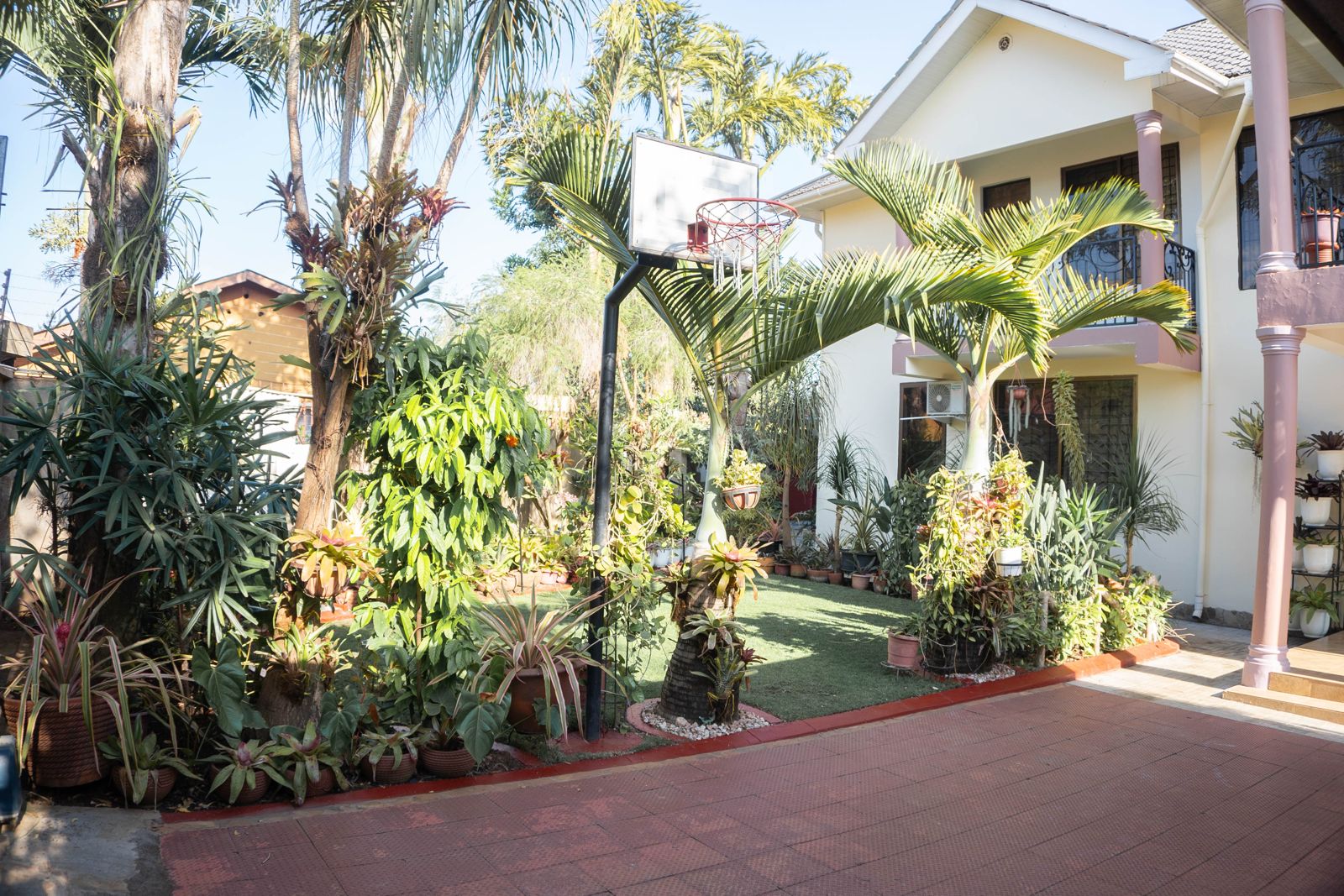 Lush tropical garden with palms and flowering plants at the Cultural Home