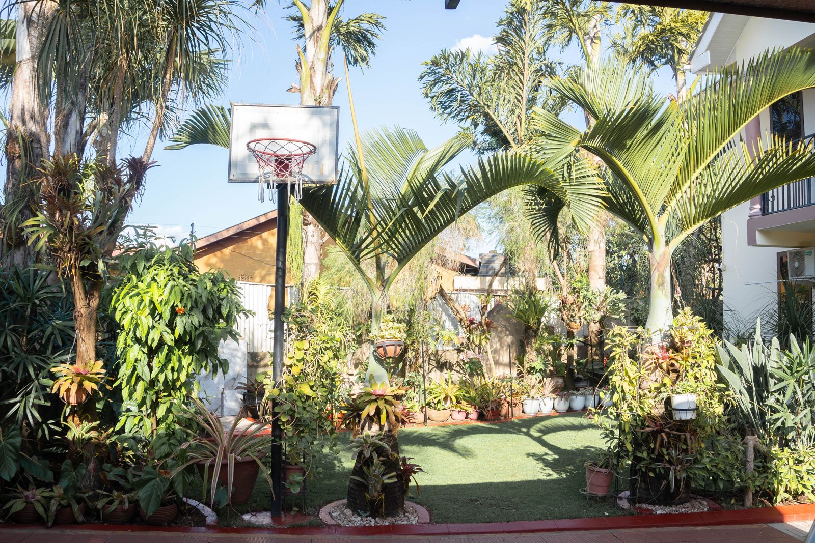 Garden lawn and potted plants beside the house