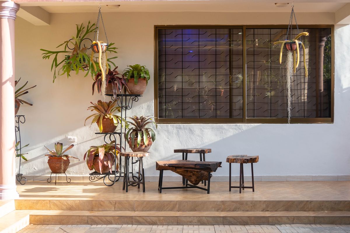 Shaded veranda with carved wooden stools and hanging plants